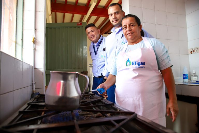 seguridad alimentaria